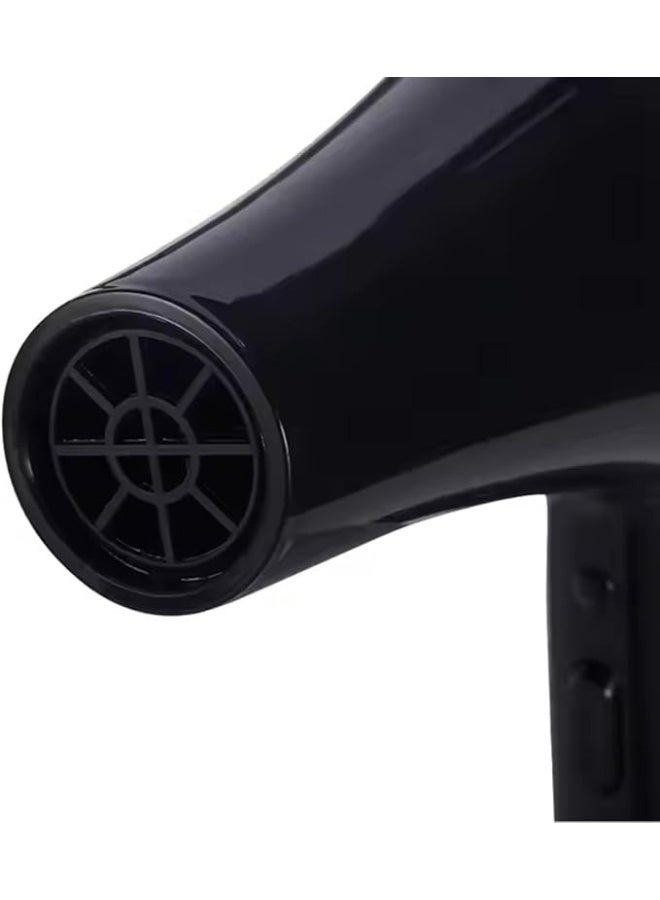 Professional 4000W Ionic Hair Dryer